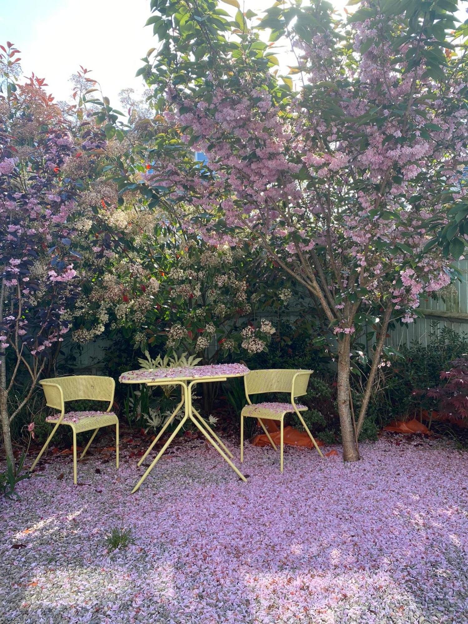Angmering Home エクステリア 写真